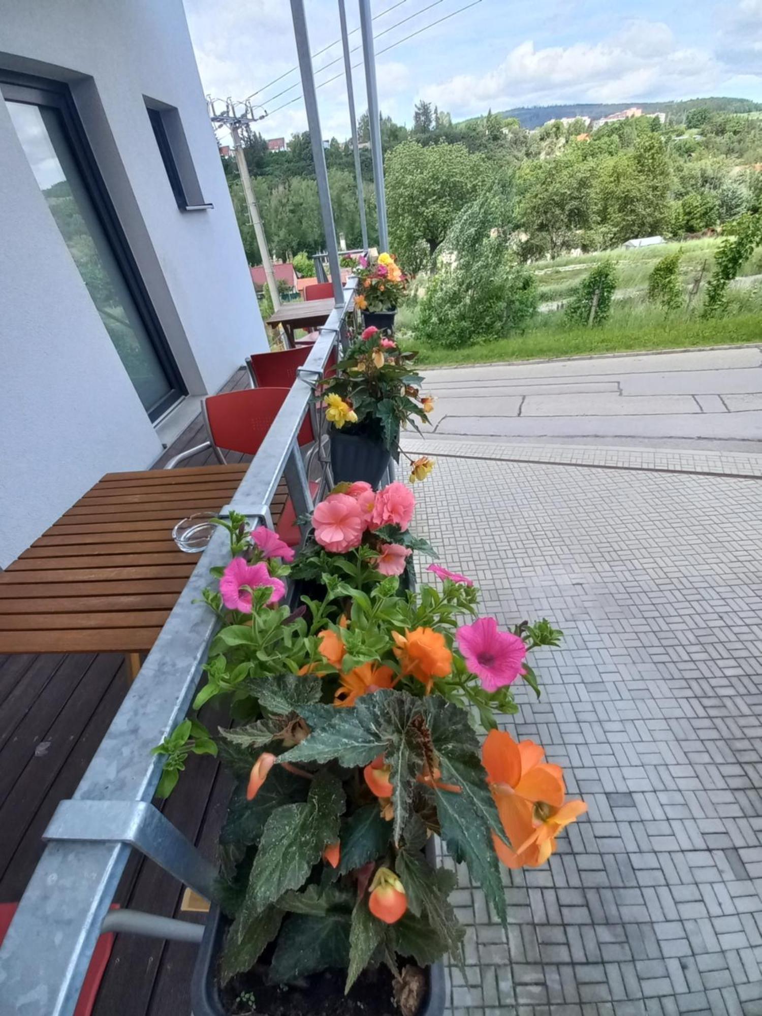 Pension Salma Cesky Krumlov Exterior photo